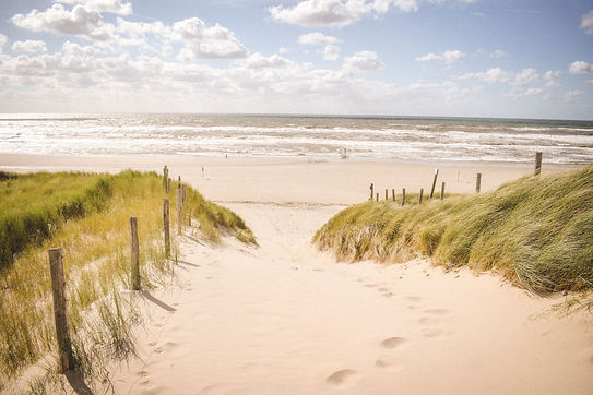 Scenic view of a sandy beach path leading to the ocean under a partly cloudy sky, with gra