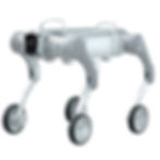 one grey intelligent industrial legged robot dog is standing