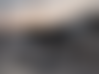 custom Oil & Gas security patrol robot dog