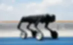 black wheel legged quadruped robot for Security patrol