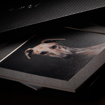 frame ready (3 of 3).png