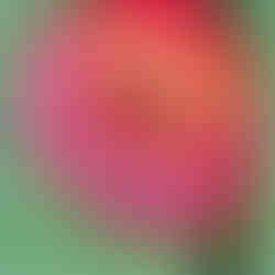 Stylised flowers image