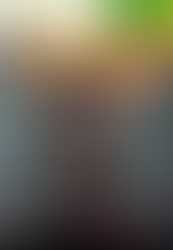 The Witcher 2                      