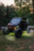 2ft RGBW Whip Lights
