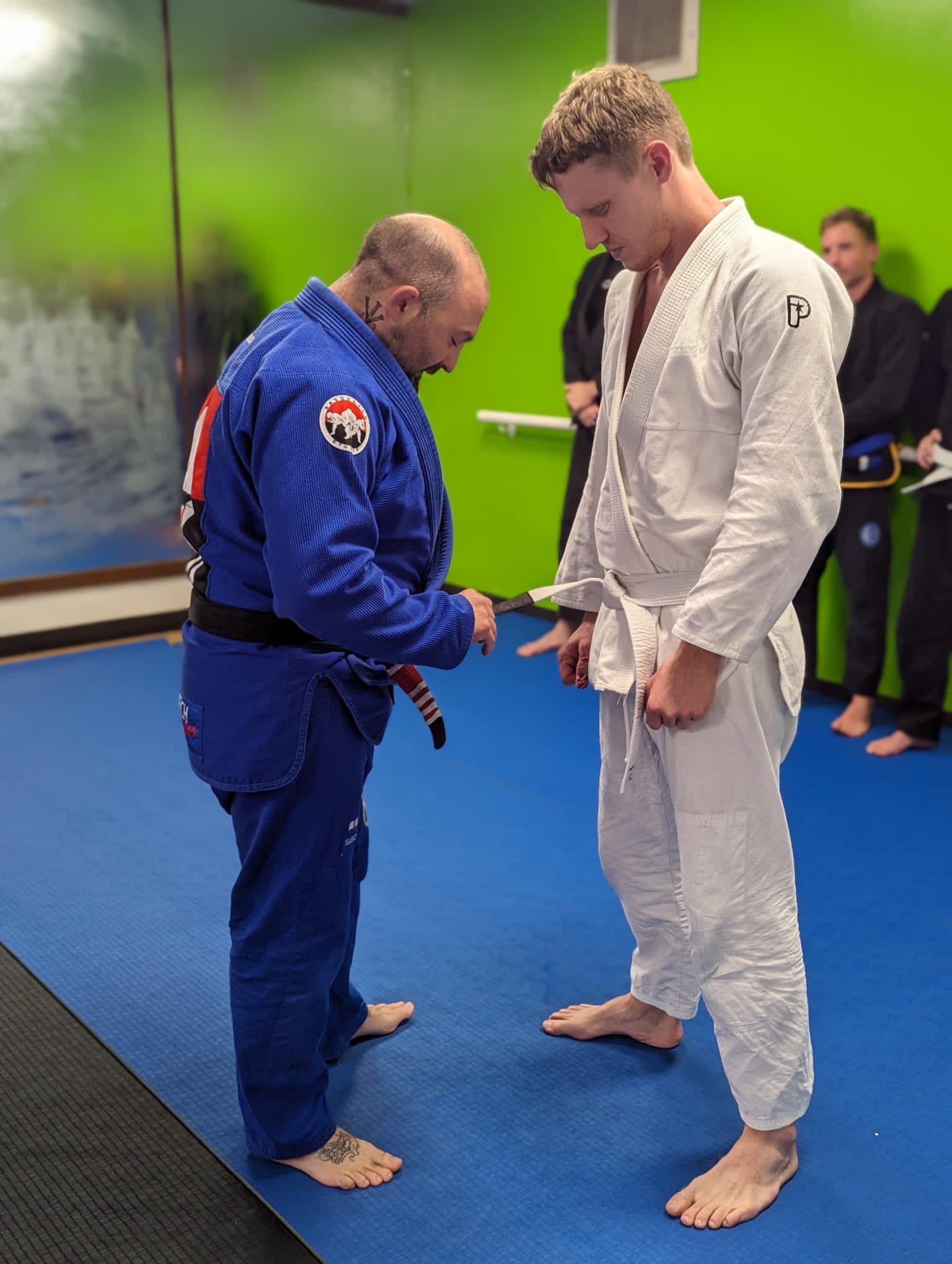 Sasquatch Studios Jurassic Coast photo