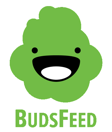 budsfeed nancy chains