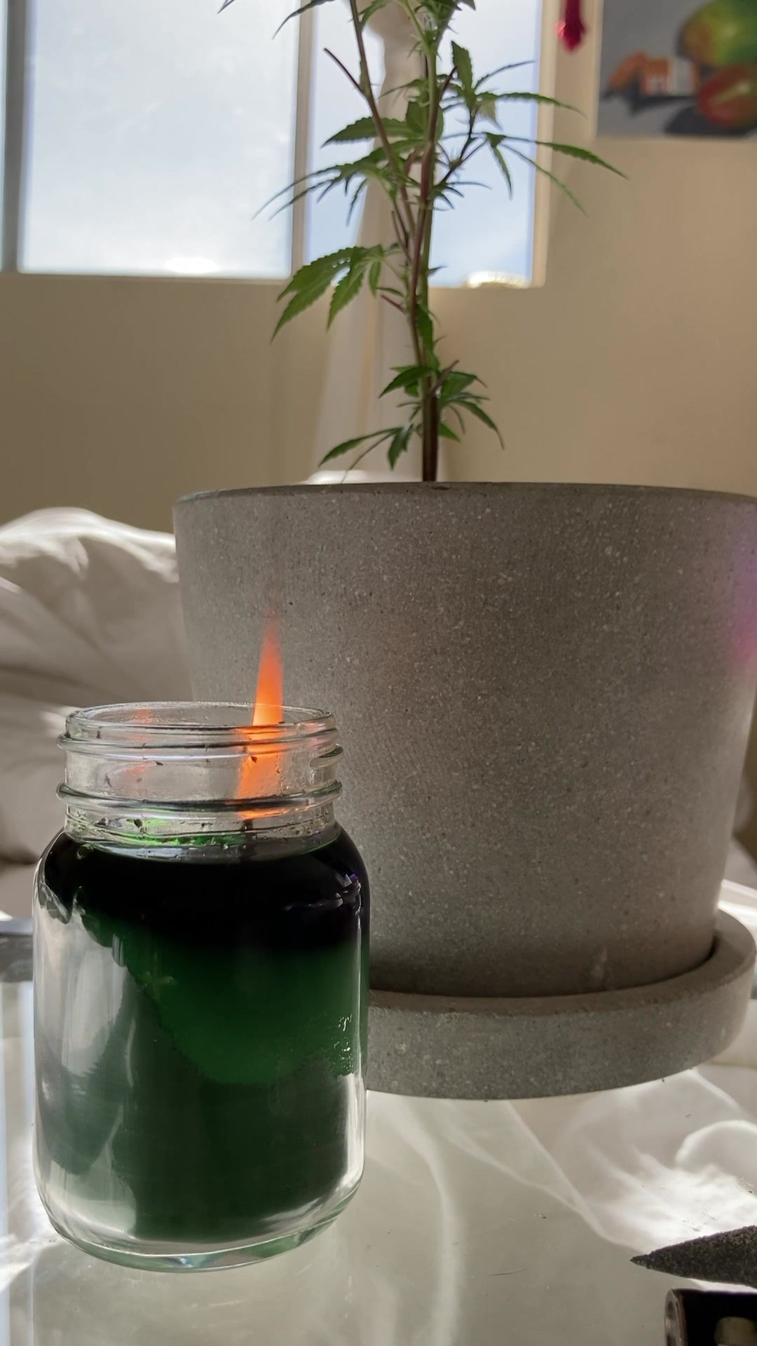 Random Nancy Chain in a Canna Candle