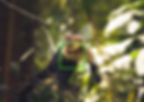 Focus area for wildlife photography