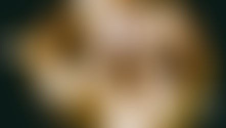 PROSUMIDOR, um novo modelo na sociedade.