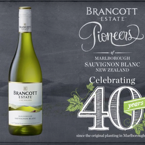Brancott Estate celebrates Jari Kuosma, pioneer of the first commercial wing suit