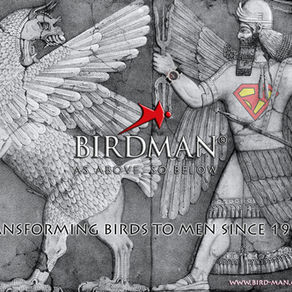 BIRDMAN ® - Building the potential in 20 Years