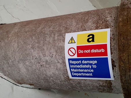 Why Asbestos Surveys Are Essential for Your Business