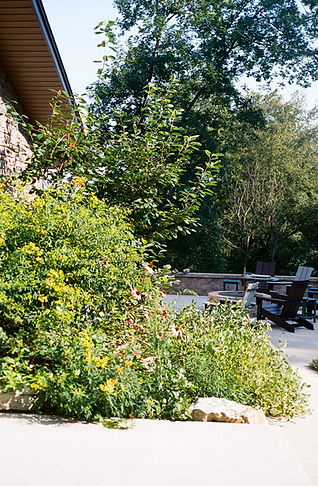 Native Garden Design Example