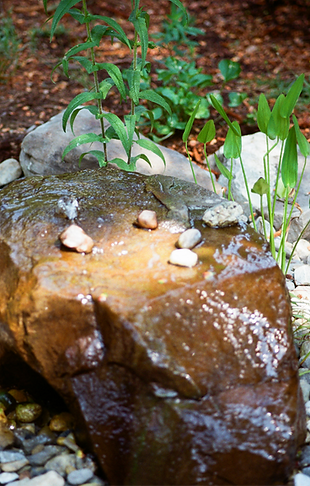 Native landscaping stormwater management
