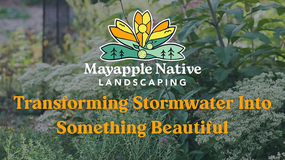 Rain Garden landscaping by Mayapple Native Landscaping