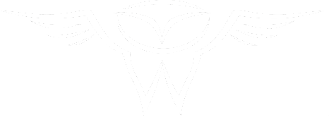 Optimal Wellness for Life Large OWL Only copy_edited_edited.png