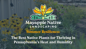 Summer Resilience: The Best Native Plants for Thriving in Pennsylvania's Heat and Humidity