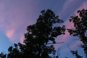 Photo Blog: Longest Day of the Year, June 21, 2017 (8:55 PM)