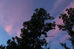 Photo Blog: Longest Day of the Year, June 21, 2017 (8:55 PM)