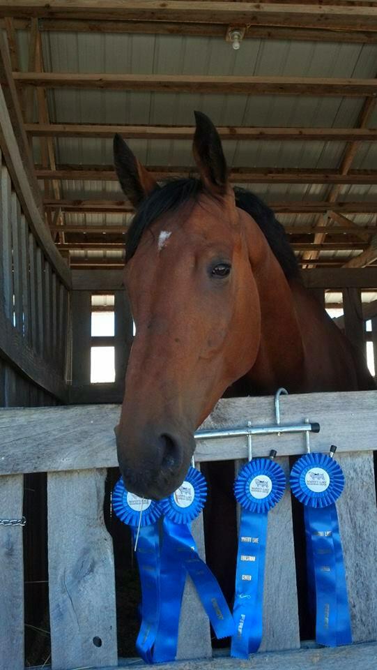 Dressage Horses for Sale, Oregon, Hidden Oaks Horses