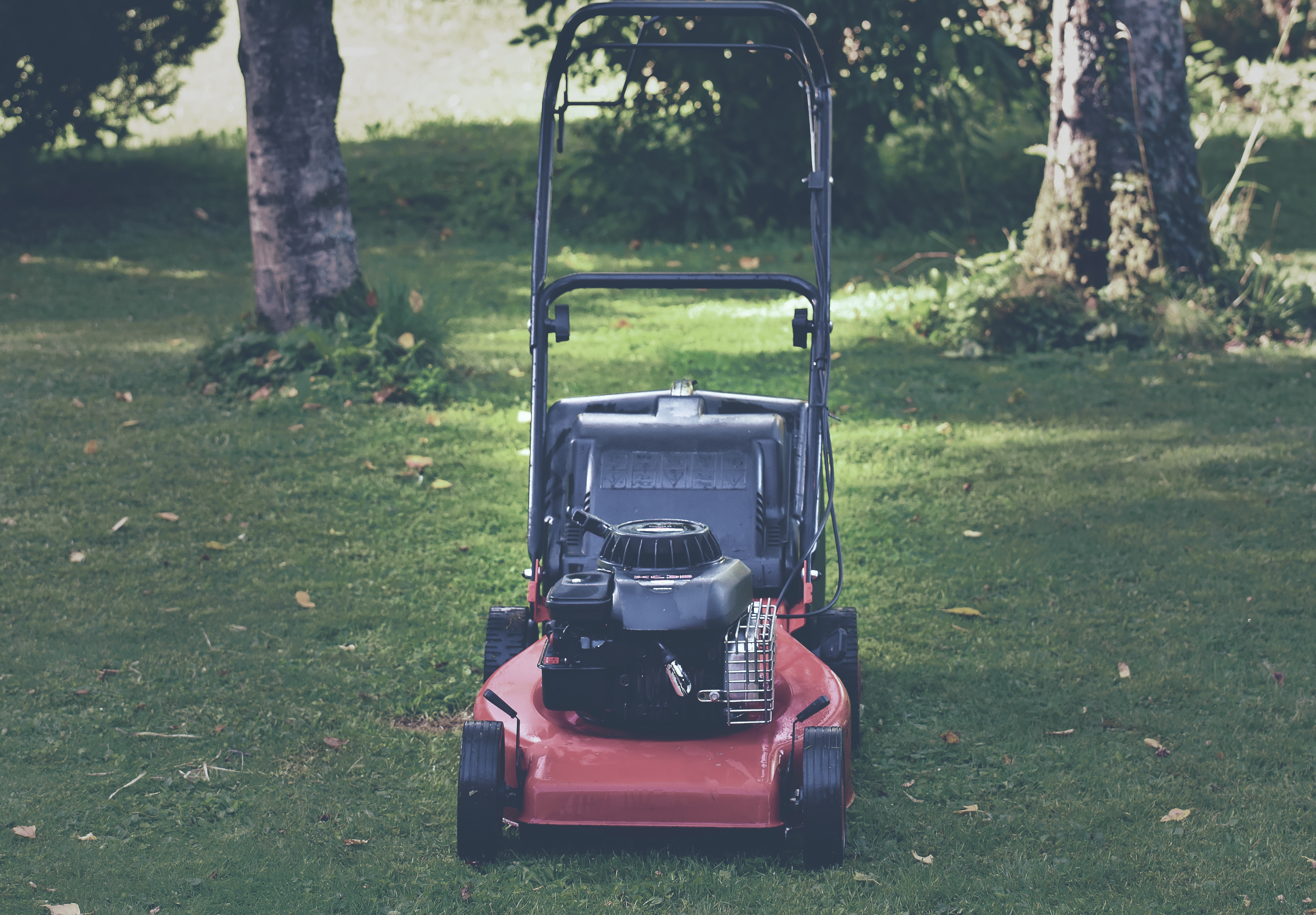 The Gainesville Lawn Care