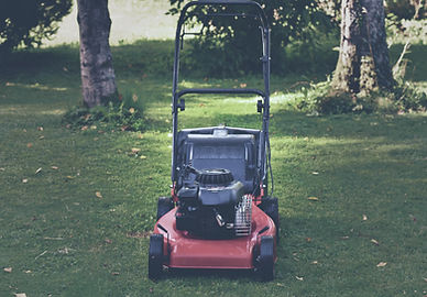 Lawn Care Maintenance