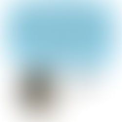 Roxanne Gay Remixed (Multimodal)