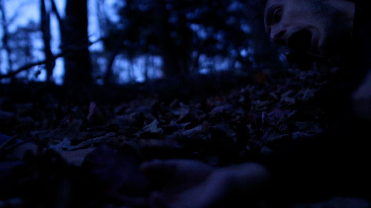 Written in Blood: A Sam Stewart Production (Cinematography)