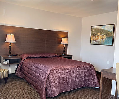 standard single queen bed room