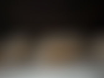 Home(s) for the Holidays