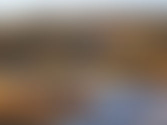 Life After the Military