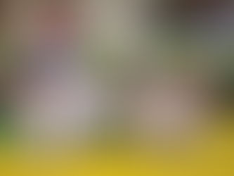 Соревнования г.Геленджик