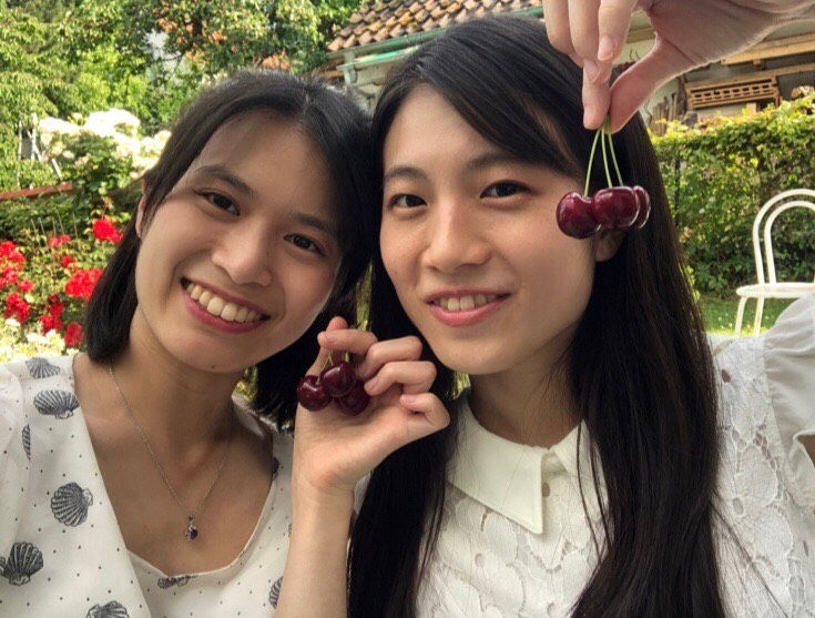 さくらんぼ狩り / Cherry picking in Germany