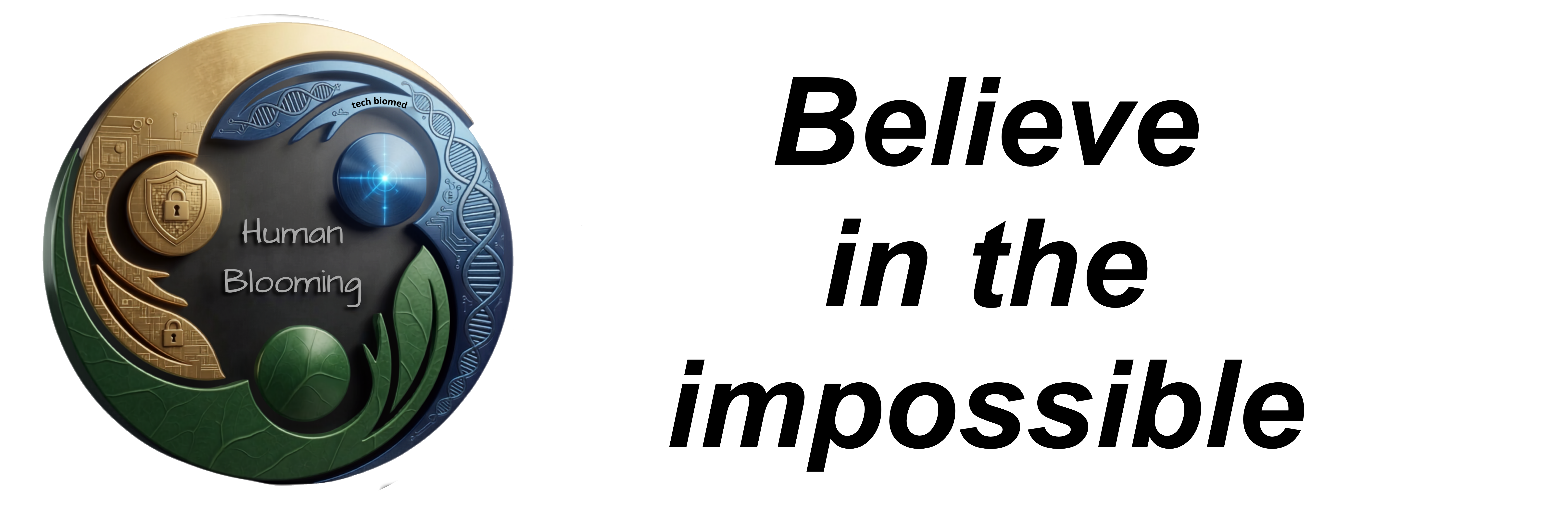 HB logo web.png