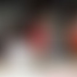 De retour dans le Nord ! 