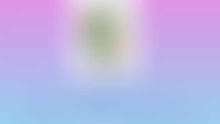 Presentación Jardín Departamental