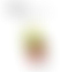 Tira cómica: lenguaje visual y opinión