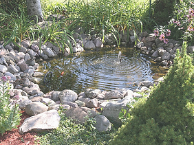 water_edited_edited.png