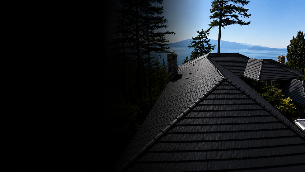 metal roof home
