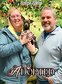 Chloe Adoption.png