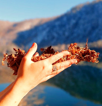 photo_2025-11-24 07.01_edited.jpg