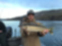 sturgeon-01.jpg