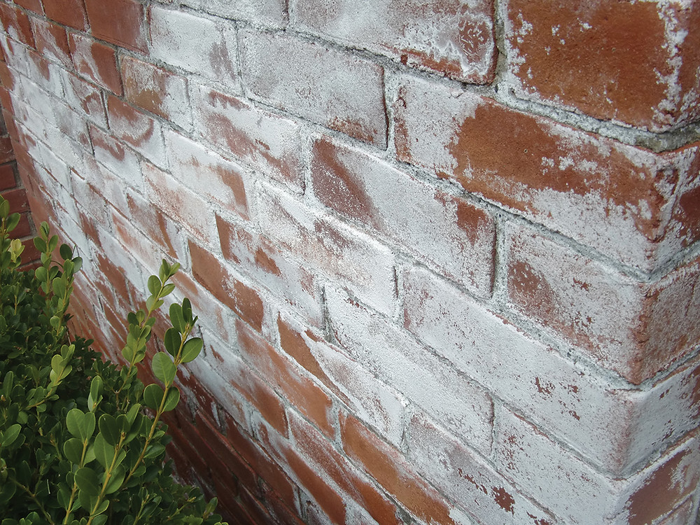 What Is Efflorescence?