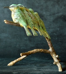 Thumbnail: Sarah Richards - Little Bee Eaters  - 9 of 15