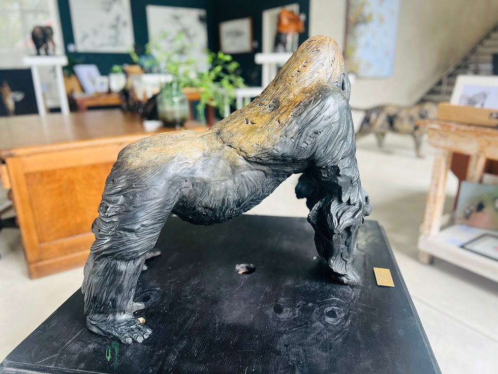 Thumbnail: Brandon Borgelt- Silver Back Gorilla 1 of 15