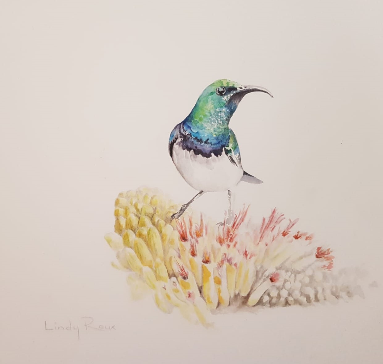 LINDY ROUX