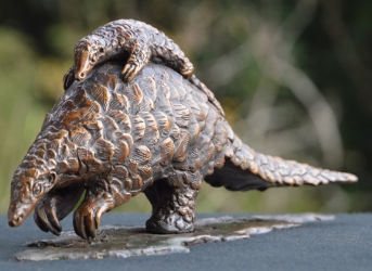 Thumbnail: Sarah Richards - Pangolin - 25 of 30