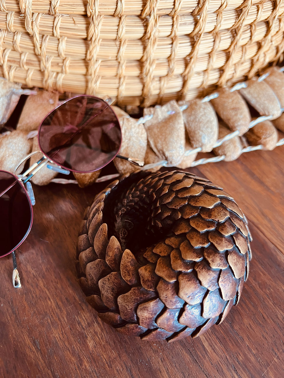 Thumbnail: Lungisa Kala - Mini Curled Pangolin 10cm