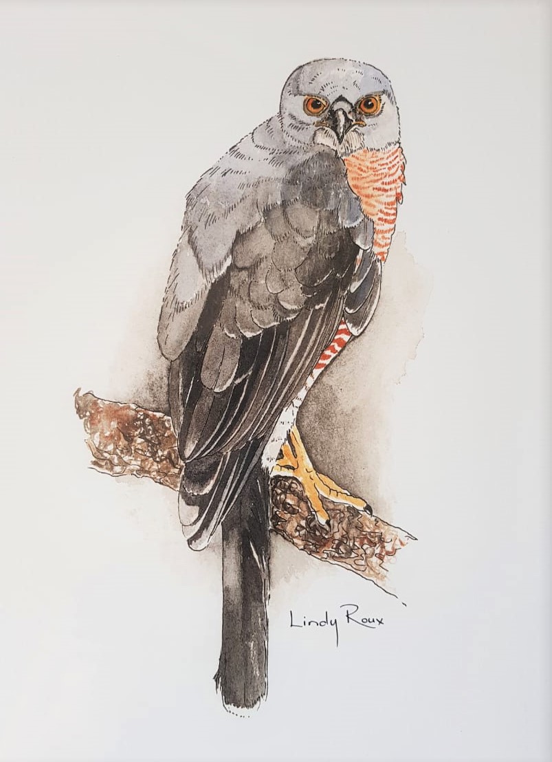LINDY ROUX