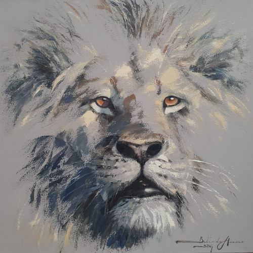 Belinda Hewer - Lion - Gaze | Wildlife Gallery